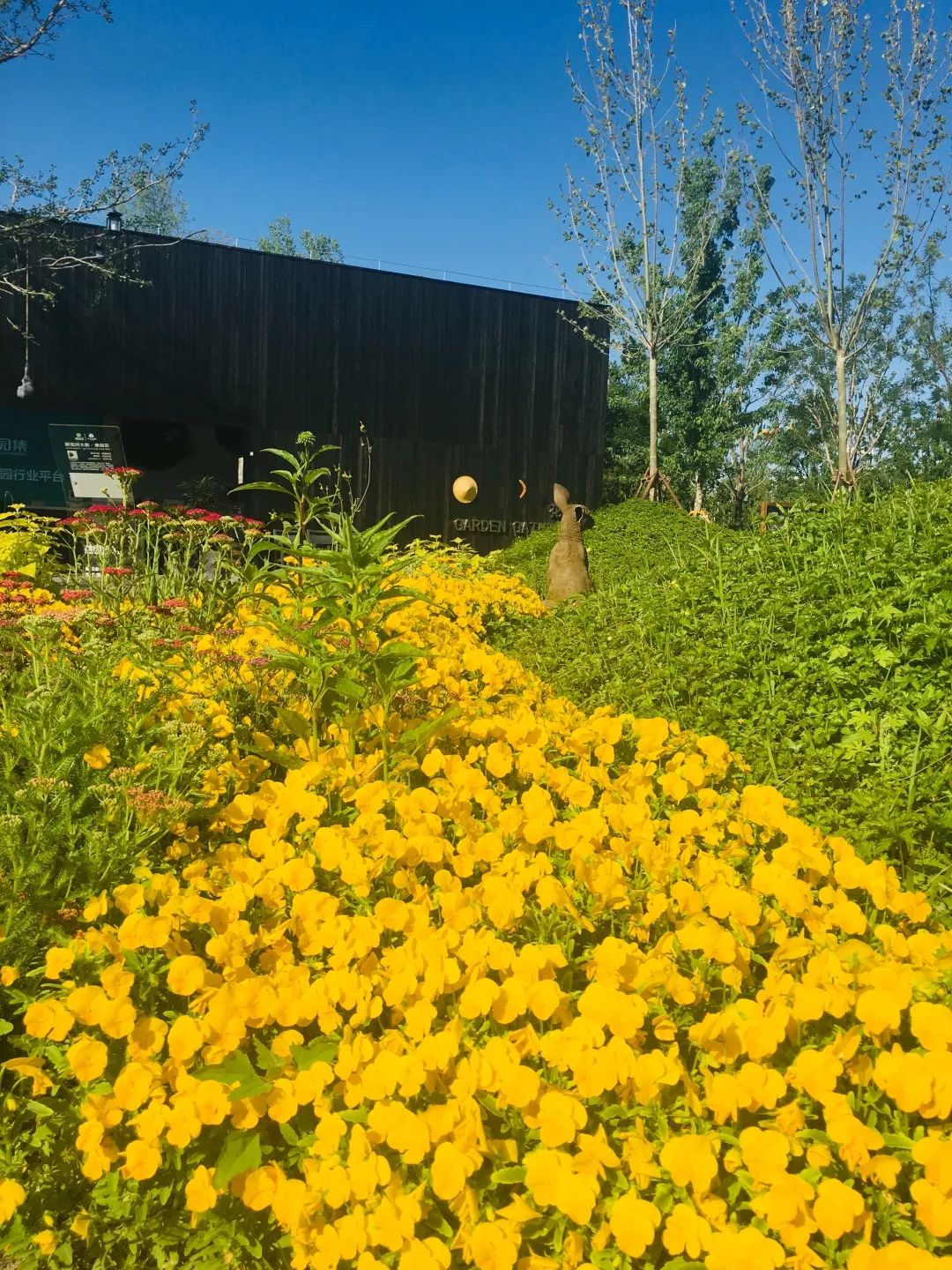 世园会澳大利亚园丨中国北京-69