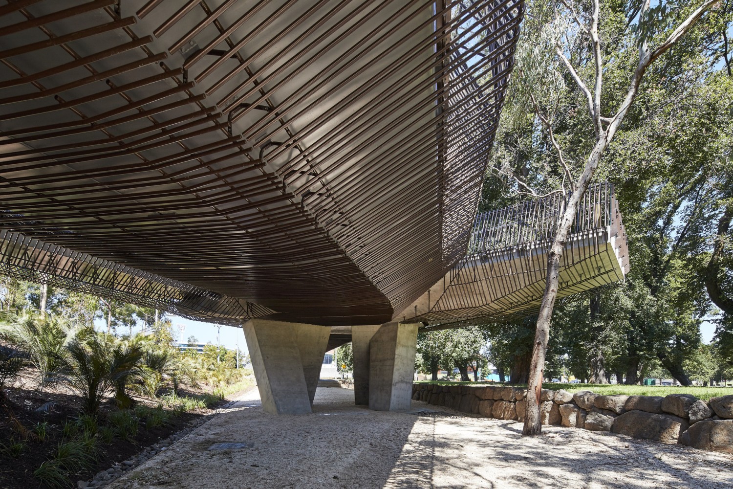 Tanderrum Bridge John Wardle Architects-2