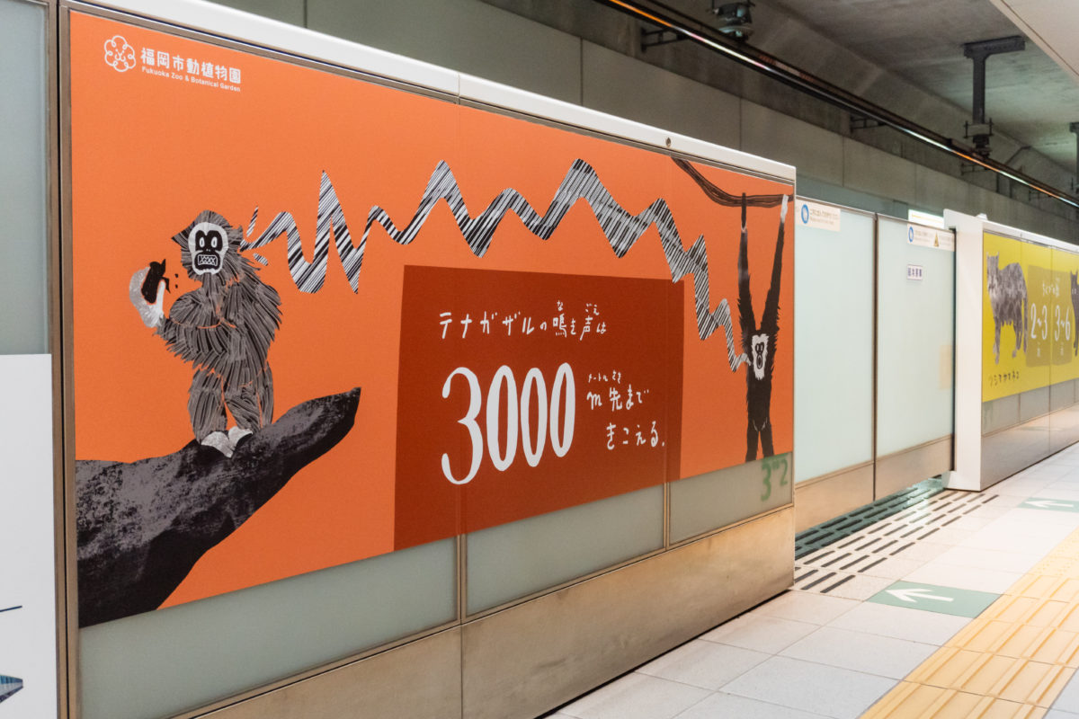 薬院大通駅  福岡市動植物園特別装飾丨anno lab-12
