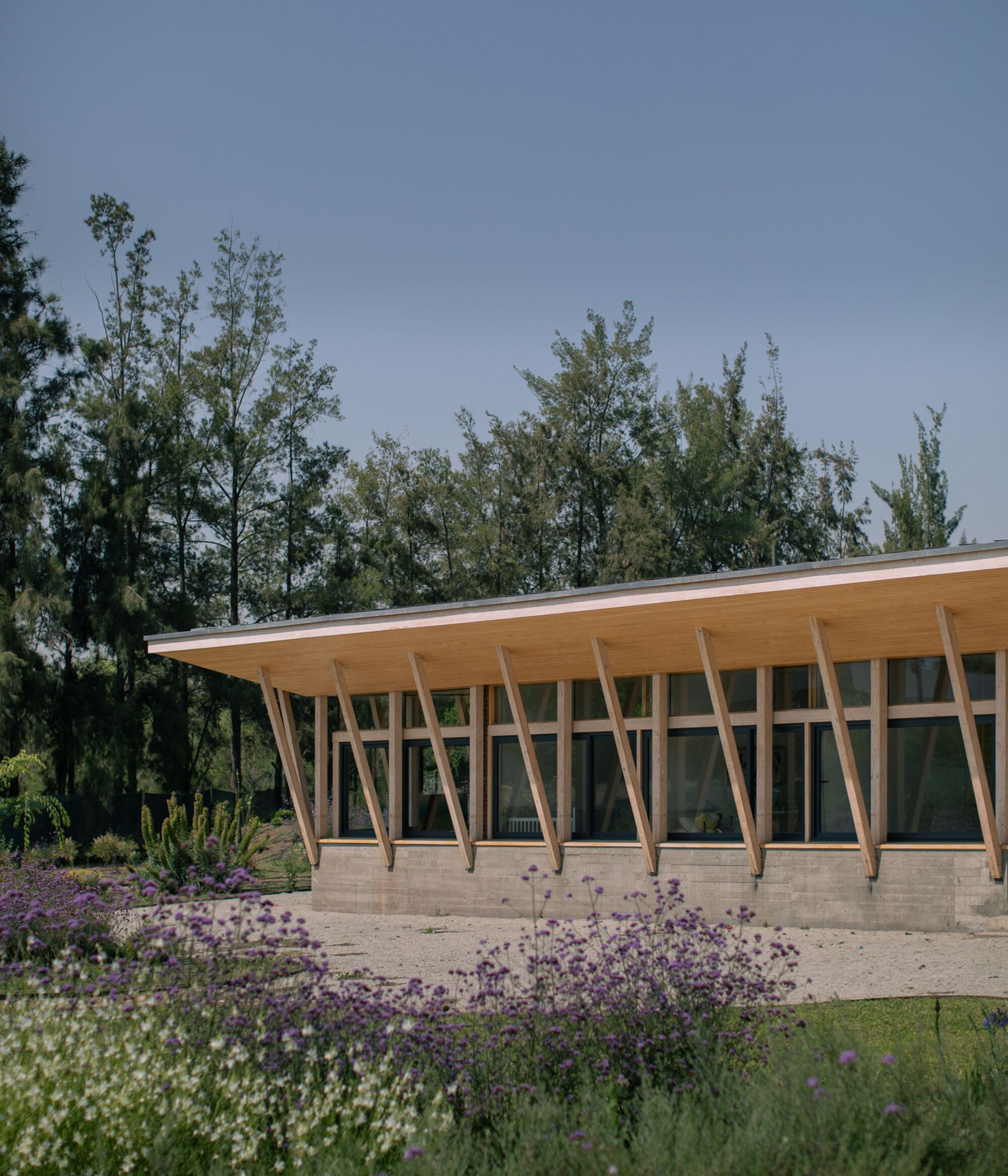 弧形墙屋丨智利-17