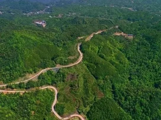 九峰村变形记 | 美丽乡村建设的中国实践-12