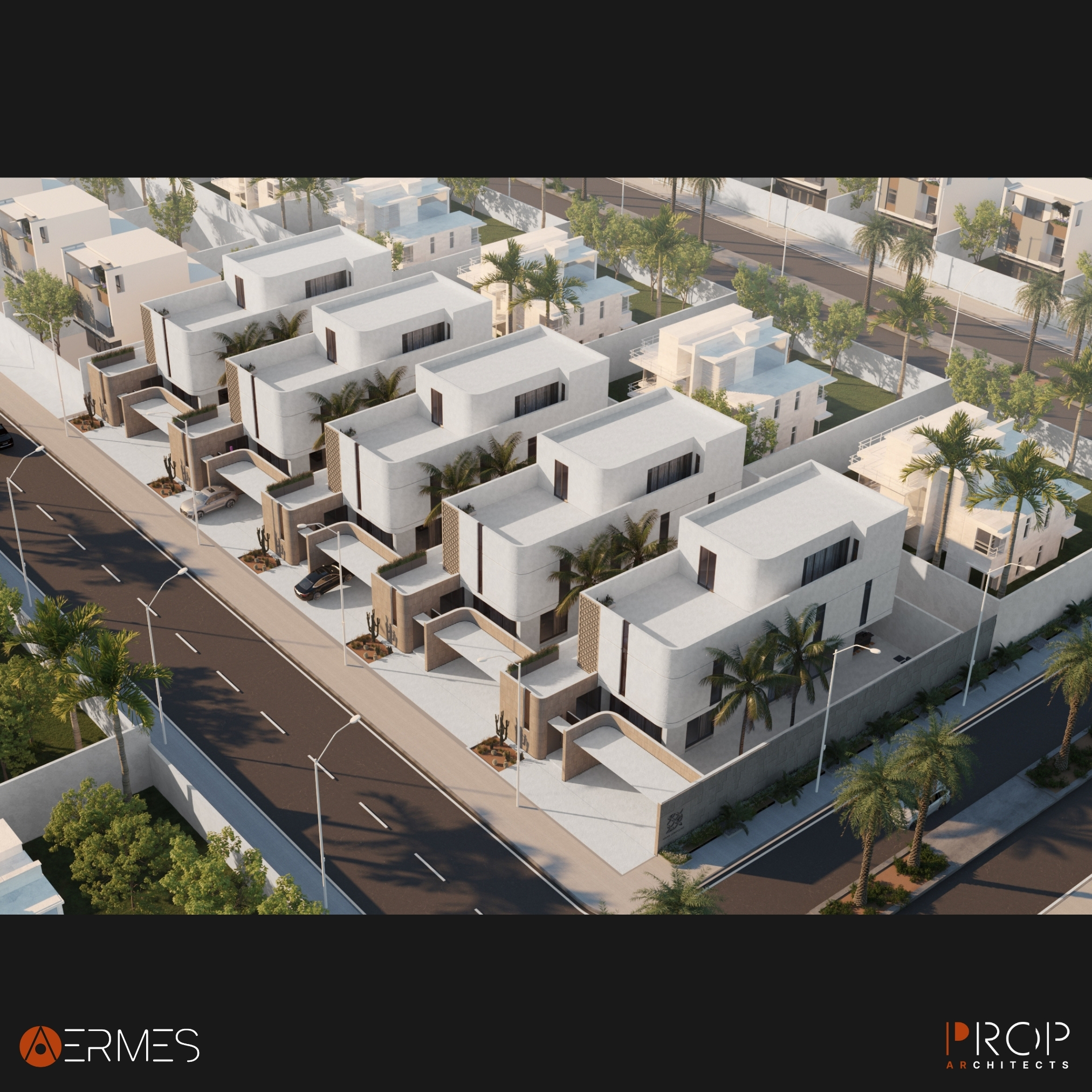 ALDanah 化合物丨沙特阿拉伯吉赞丨AERMES-11