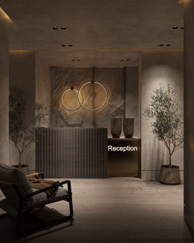 Anastasiya Gushchina丨民宿丨Hotel Reception .