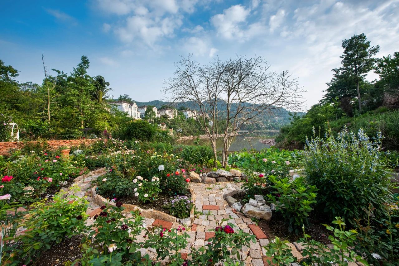 乌托邦式的花园别墅丨中国成都丨成都尺介建设有限公司-63