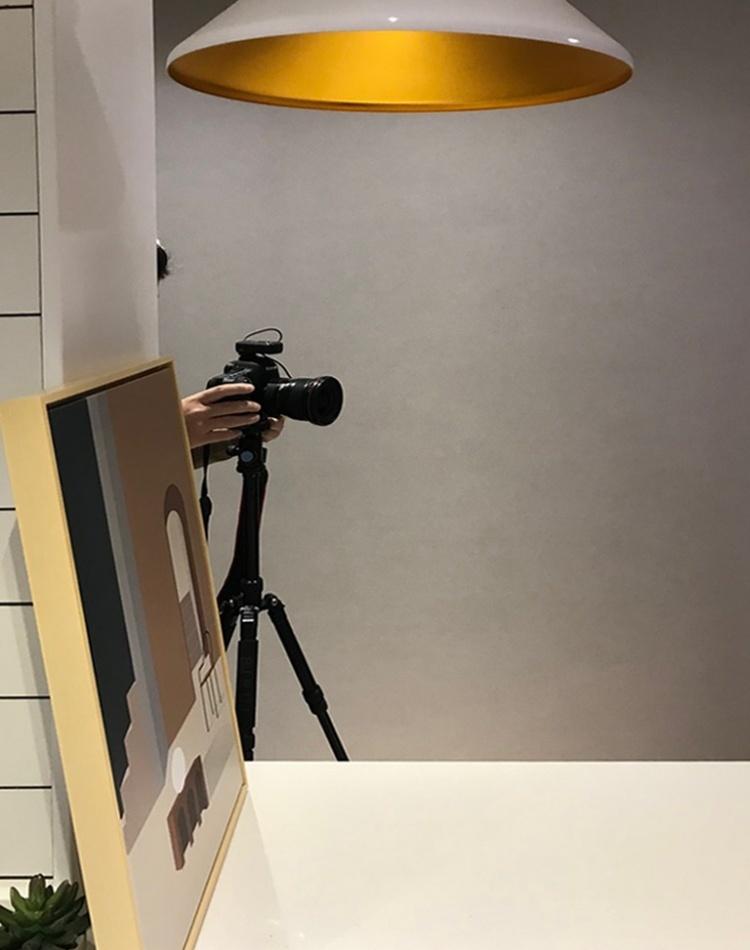 共性“麻雀”之家的空间逆袭-16