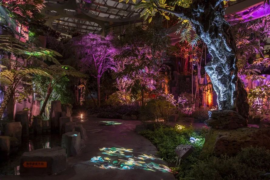 世博文化园温室植物园夜游照明设计丨RDI瑞国际照明设计-23