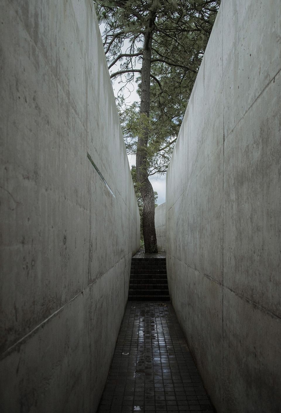 墨西哥山丘住宅丨HW STUDIO-20