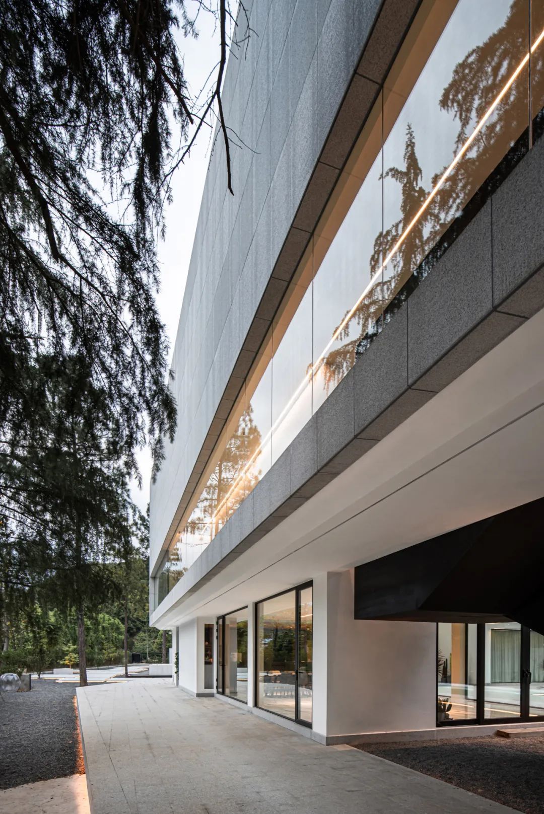 莫干山秘境杉林,尽享自然之美-27