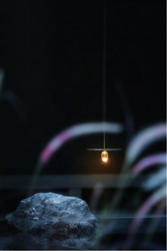 园中园·家在公园深处 | 山东淄博高新区佑园-1