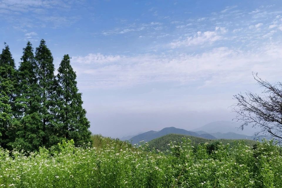 莫干山大白熊国际营地丨中国浙江丨咫间设计-29