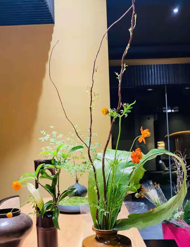 上海日式庭园民宿丨中国上海丨民宿主人-39