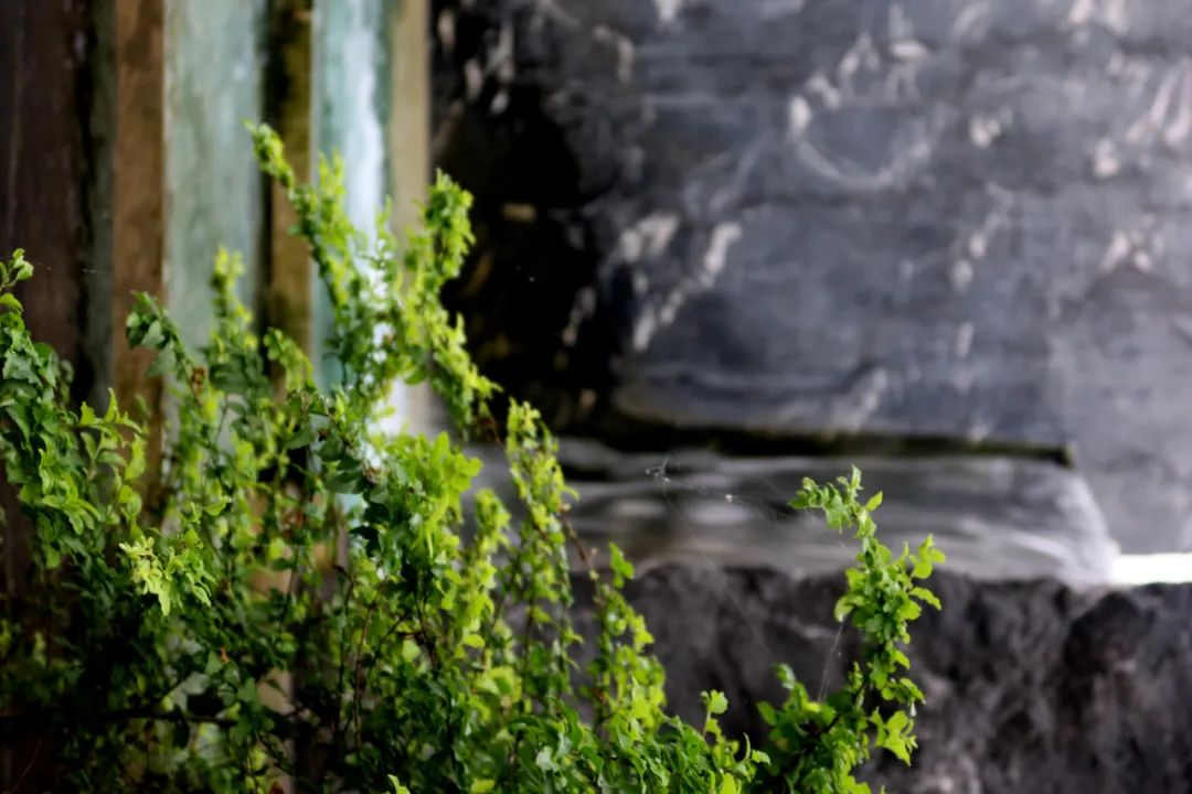 阳光城·义乌檀境丨中国金华丨LAURENT 罗朗景观-47