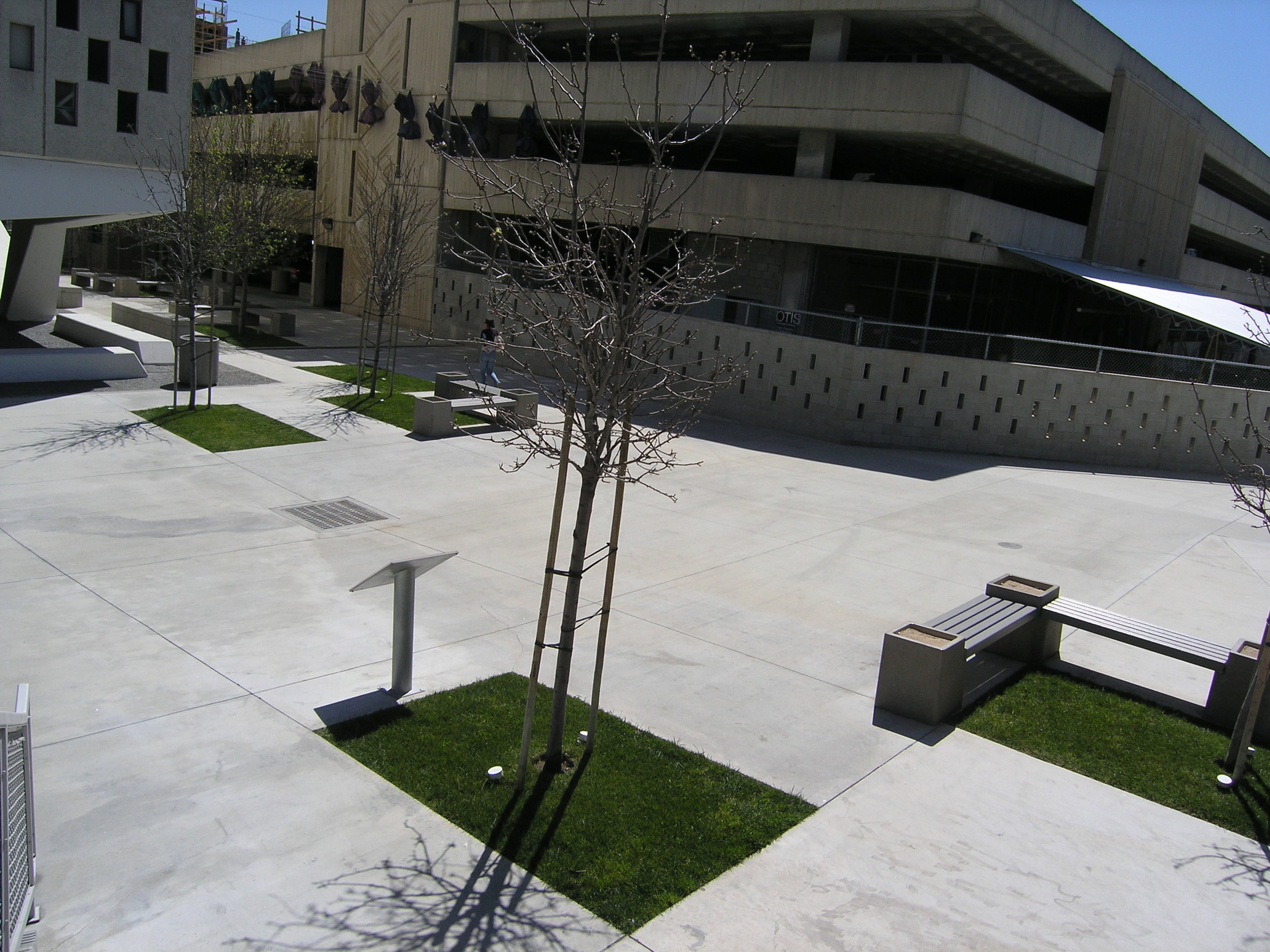 丨美国洛杉矶-31