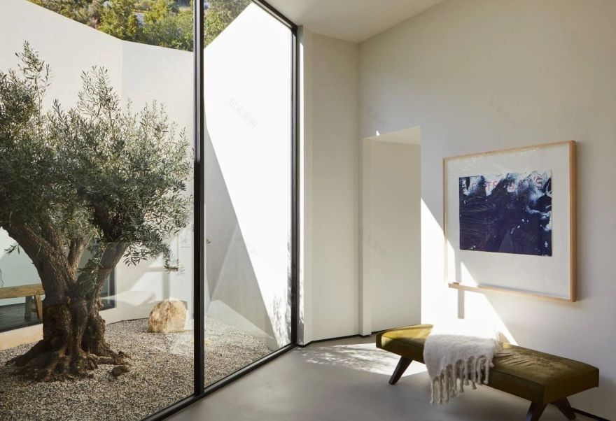 Doheny 林中住宅丨美国洛杉矶丨Studio Osklo-60