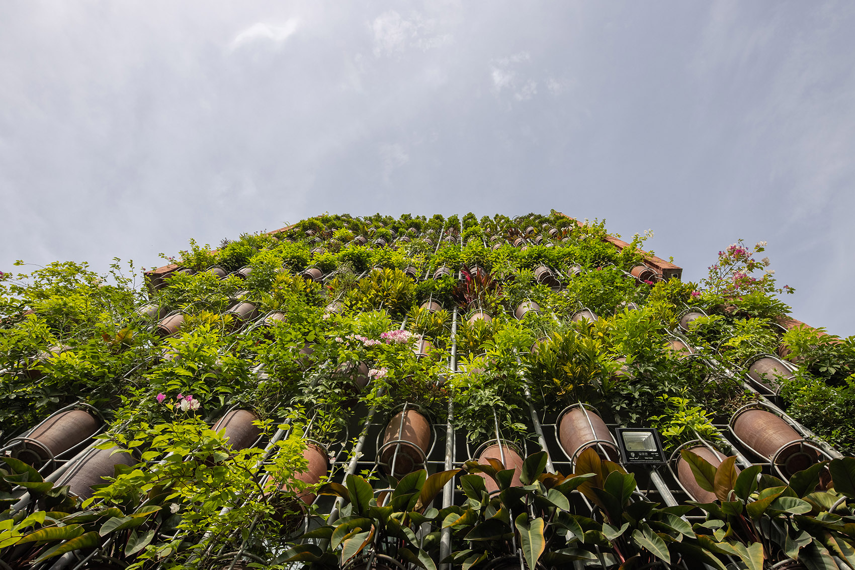 空中种植园丨越南丨H&P Architects-18