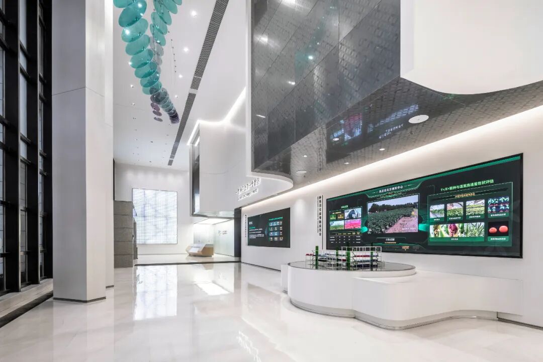 数字科技赋能未来展厅|先正达北京创新中心数字化展厅EPC工程-12
