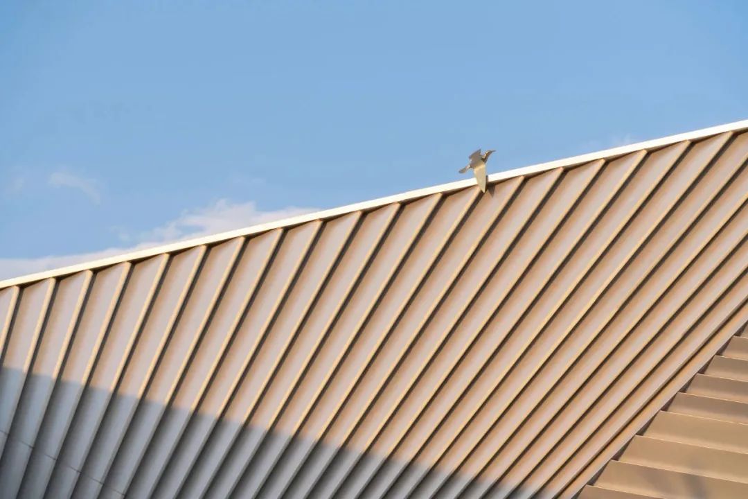 昆明向山的岛项目样板间丨中国昆明丨AOD设计-8