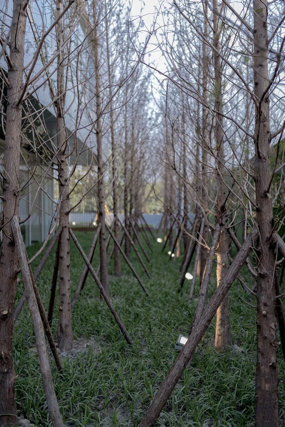 魏玛景观丨常州碧桂园•都市森林景观设计 丨中国江苏-70