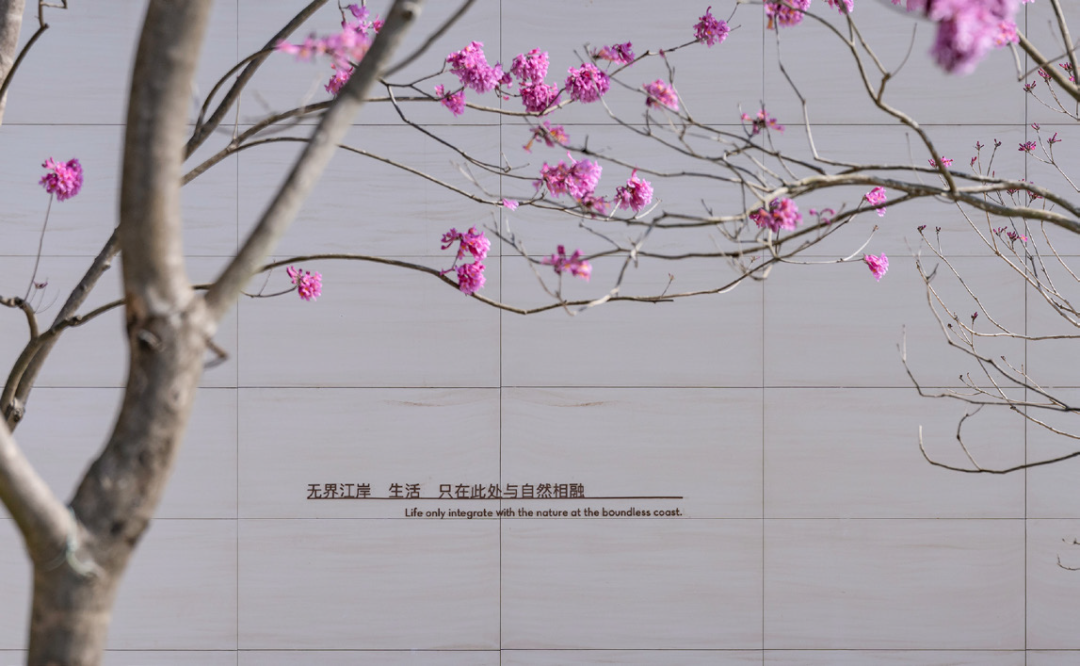 海上钢琴诗丨中国铁建&南沙开建集团 · 西派澜岸-64