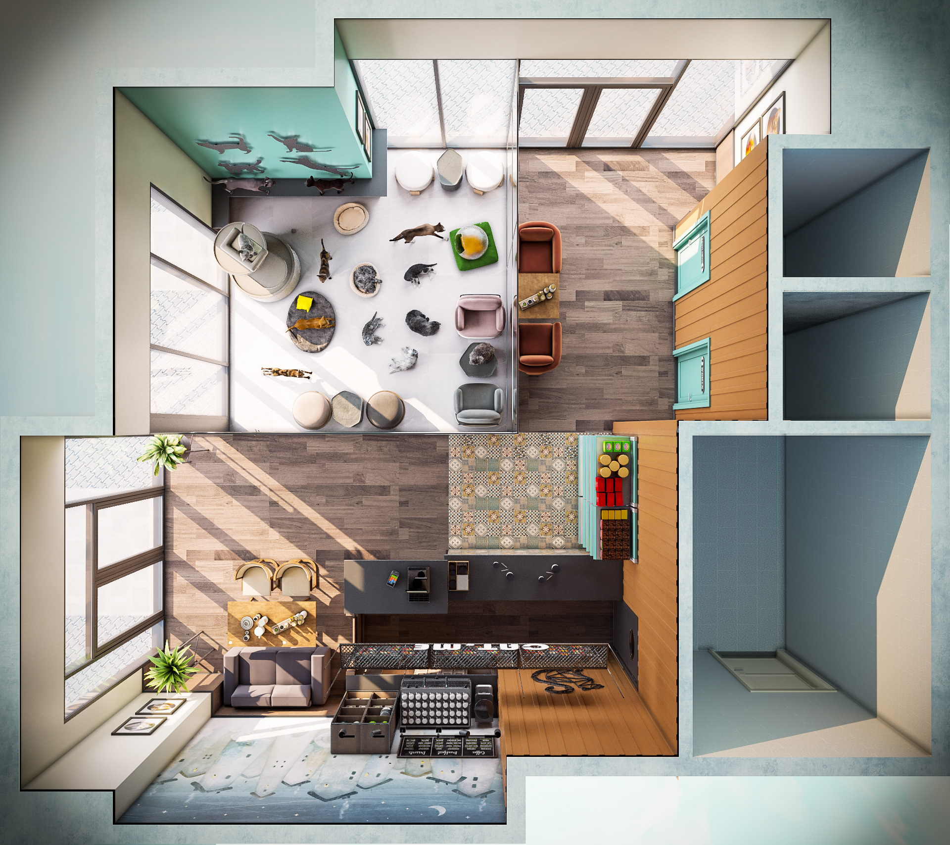 猫咖啡馆丨卡塔尔-9