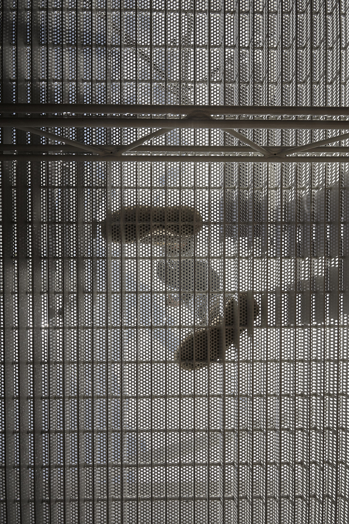 Westgarth Austin Maynard Architects-4