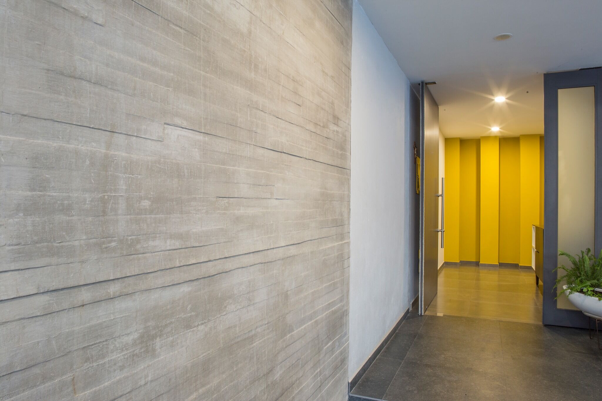 《蓝兰花之家》-19