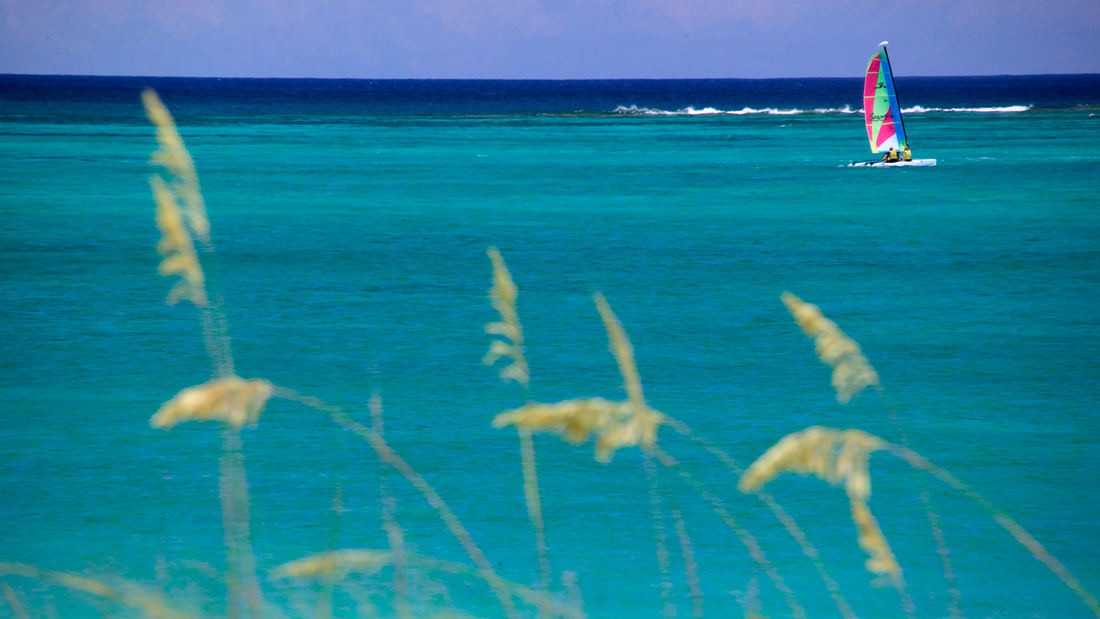 棕榈度假村酒店 The Palms Grand Resort by SWA-2