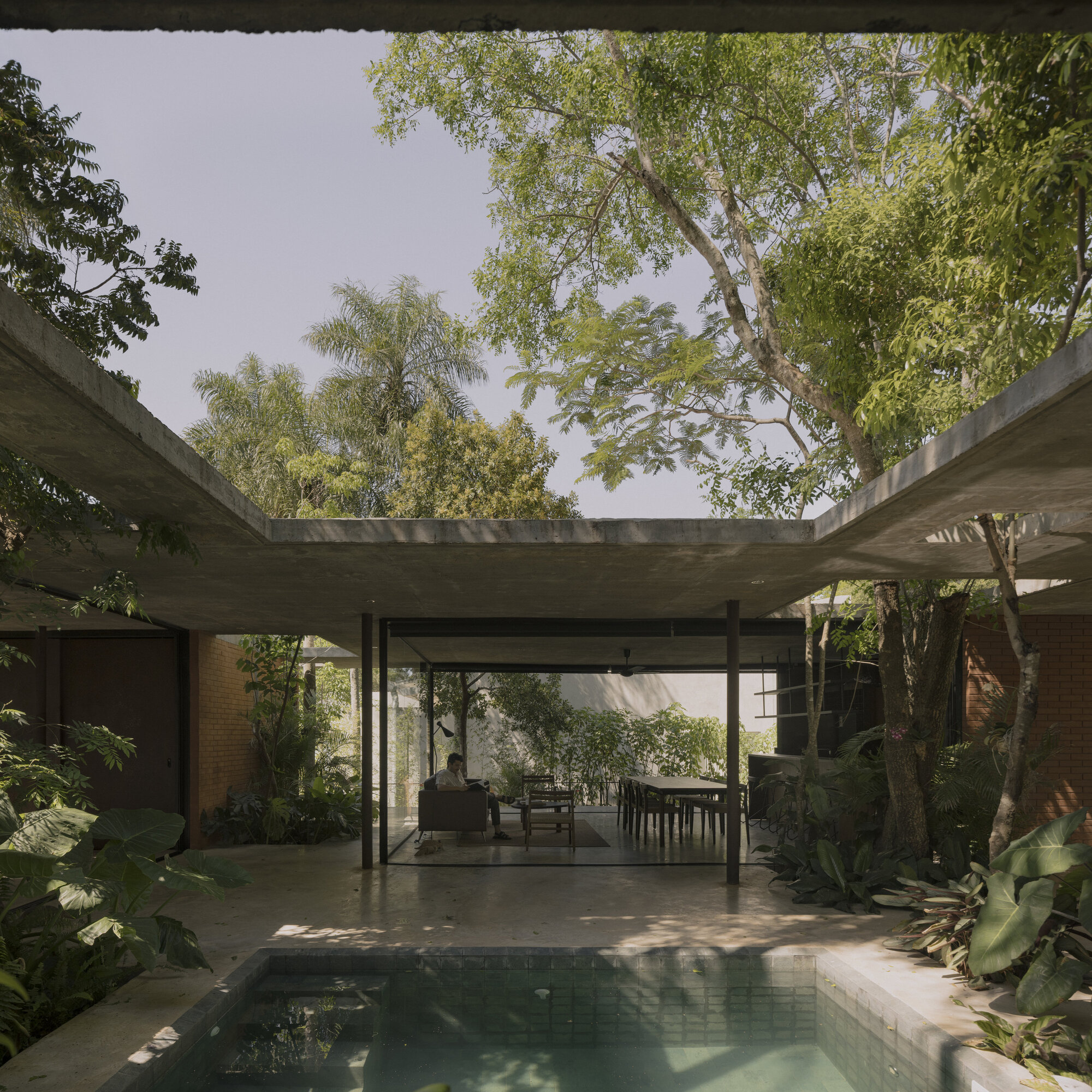 屋内的一片森林丨巴拉圭丨Equipo de Arquitectura-18