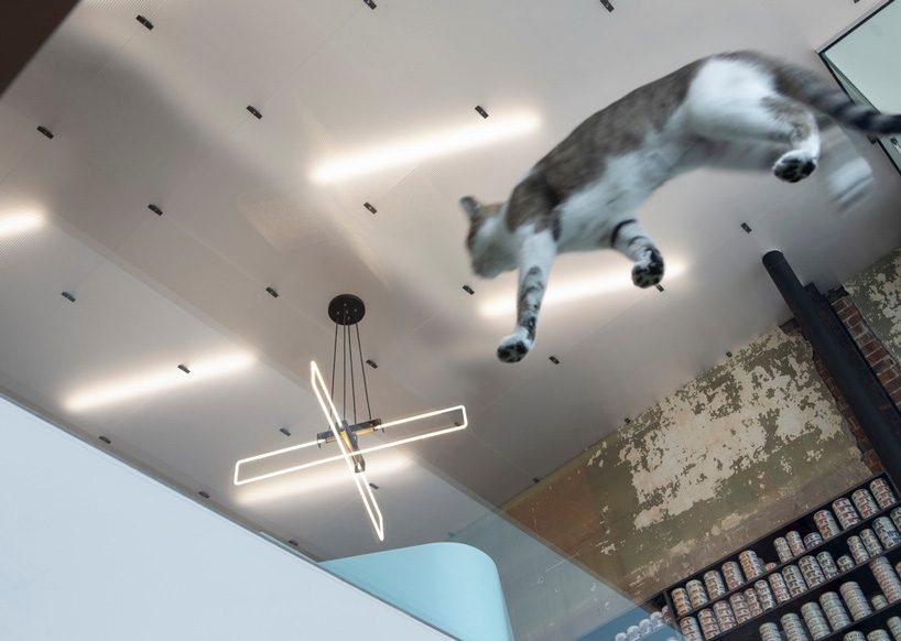 由废弃摄影棚改造的蒙特利尔宠物医院 住宅  T B A-7