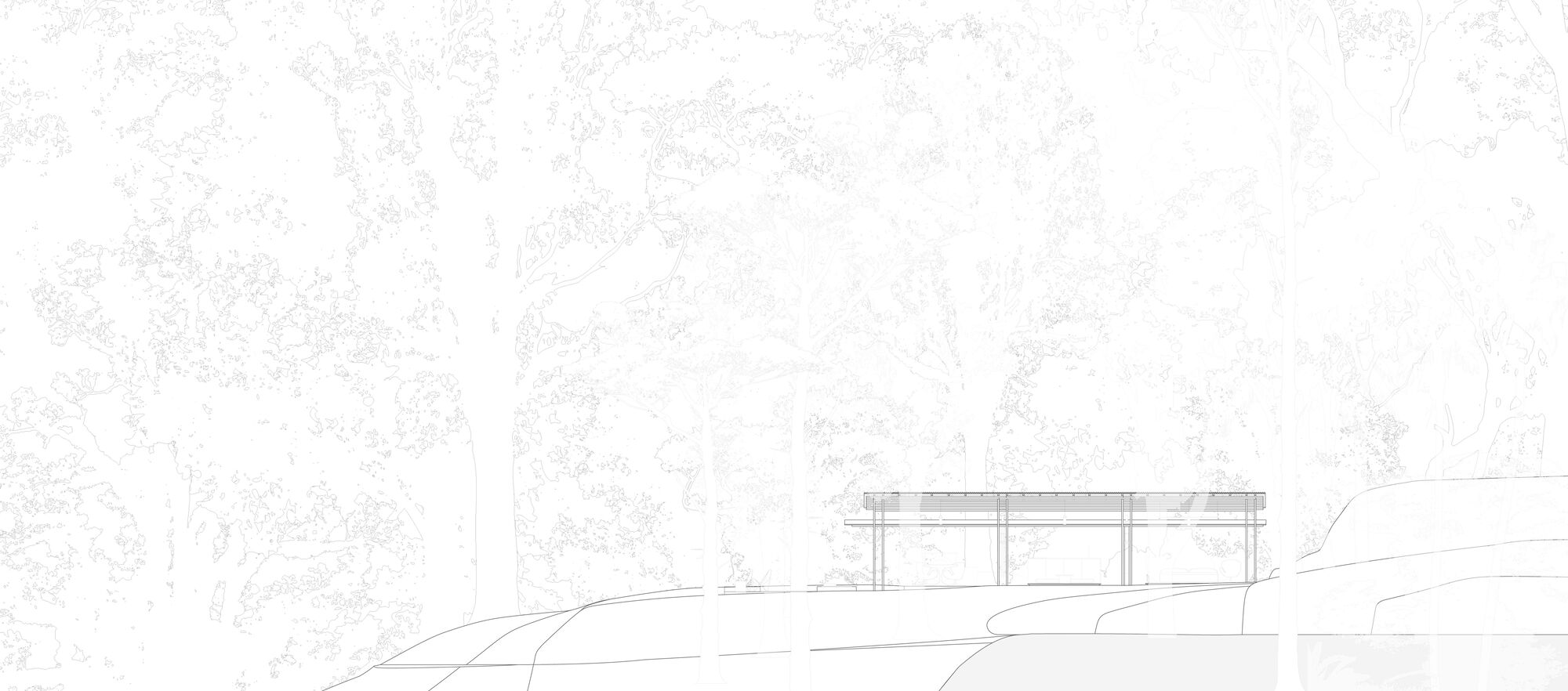 丛林开放日丨哥斯达黎加丨Ksymena Borczynska-14