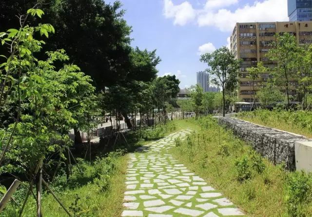 创意铺装设计，草坪与硬质材料的美妙融合-45