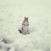 南京人抗冻新武器 | 明装暖气，温暖过冬不是梦-8