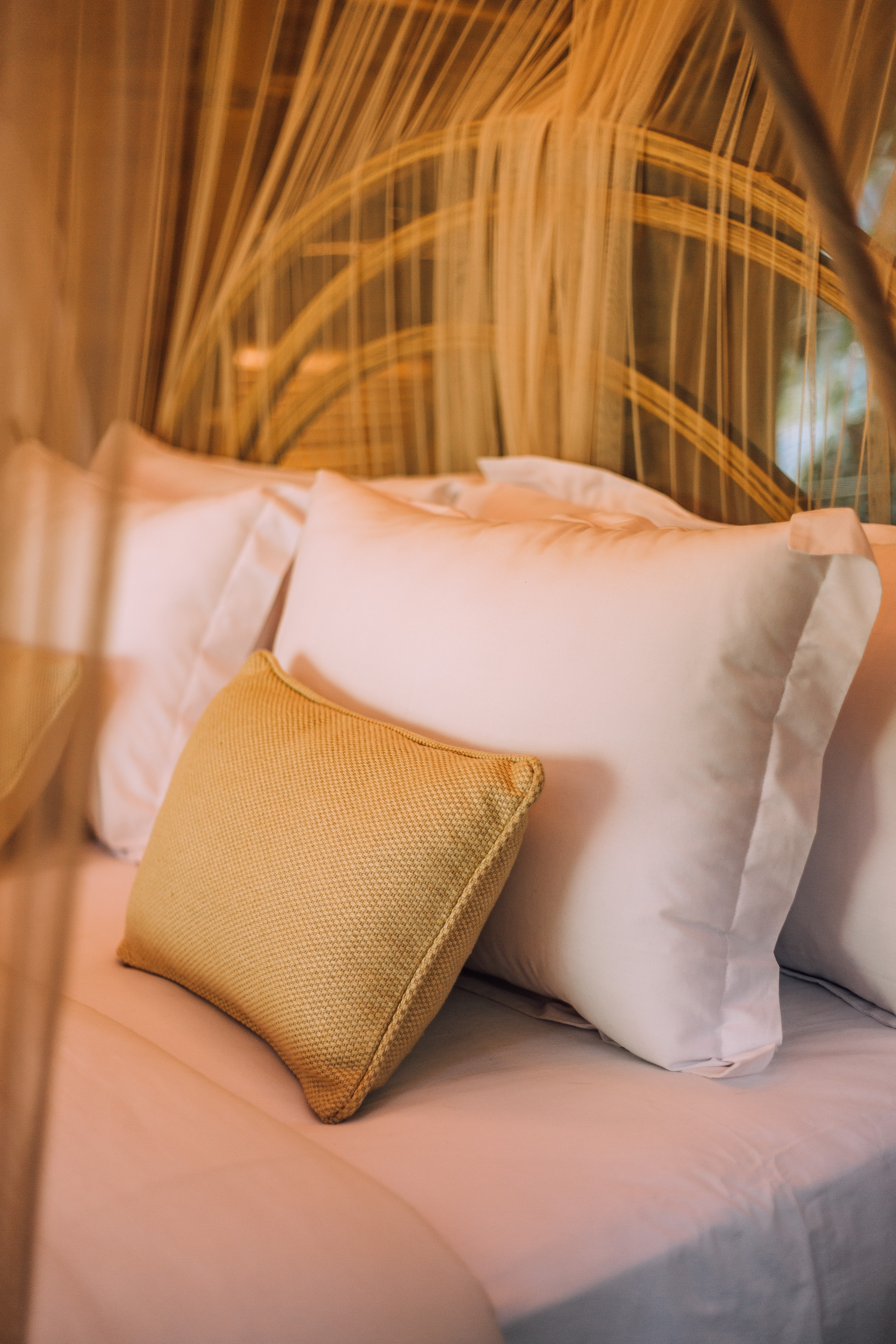 藏身之处茧蛹丨Studio WNA-18