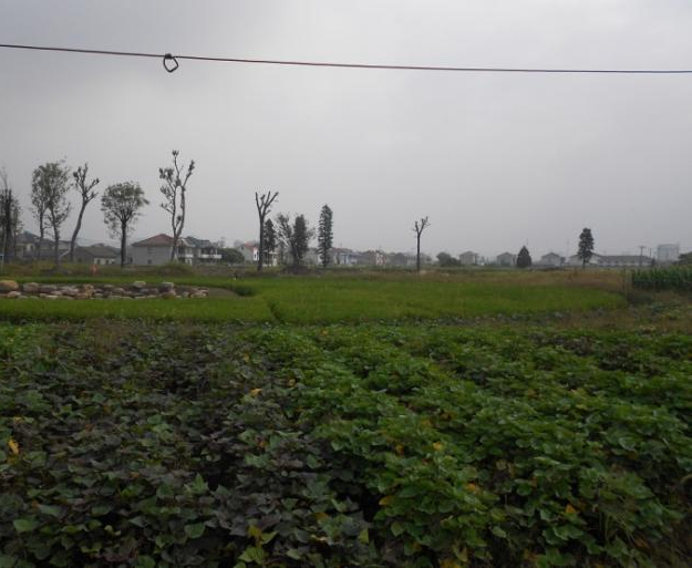 姚江水岸·农耕文化博物苑丨中国美院风景建筑设计研究总院-9