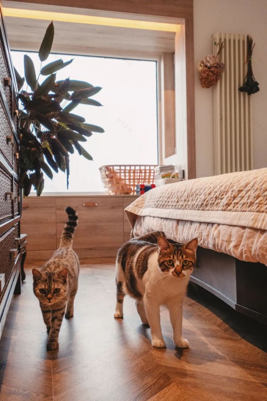 有爱之家 | 鱼骨拼地板++ 弧形外墙,100㎡住一狗二猫三人-7