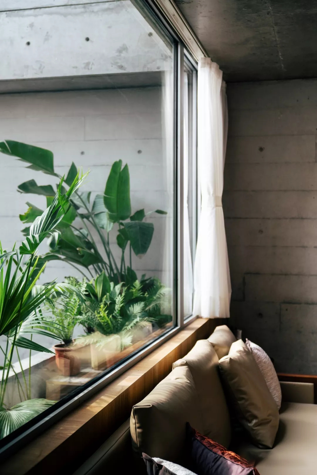 琚宾爆拆《皮囊》里的家,握手楼逆袭美宅+图书馆综合体!-90