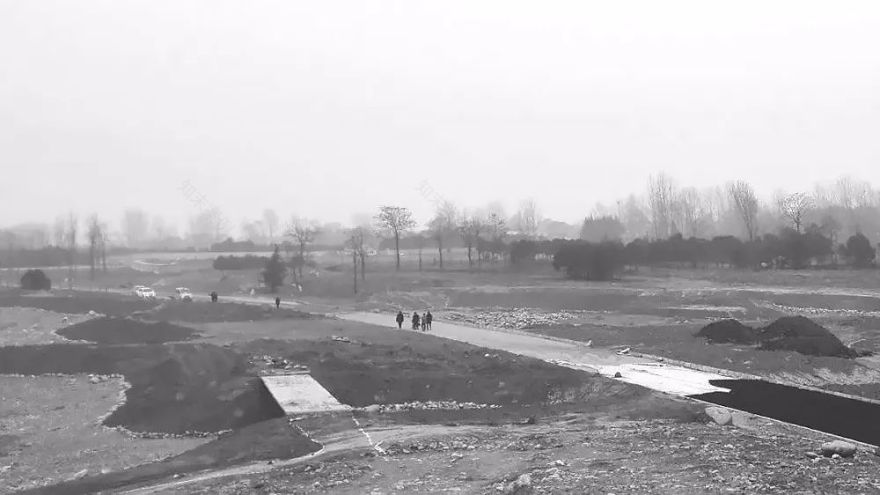 秦岭国家植物园田峪河湿地公园-63