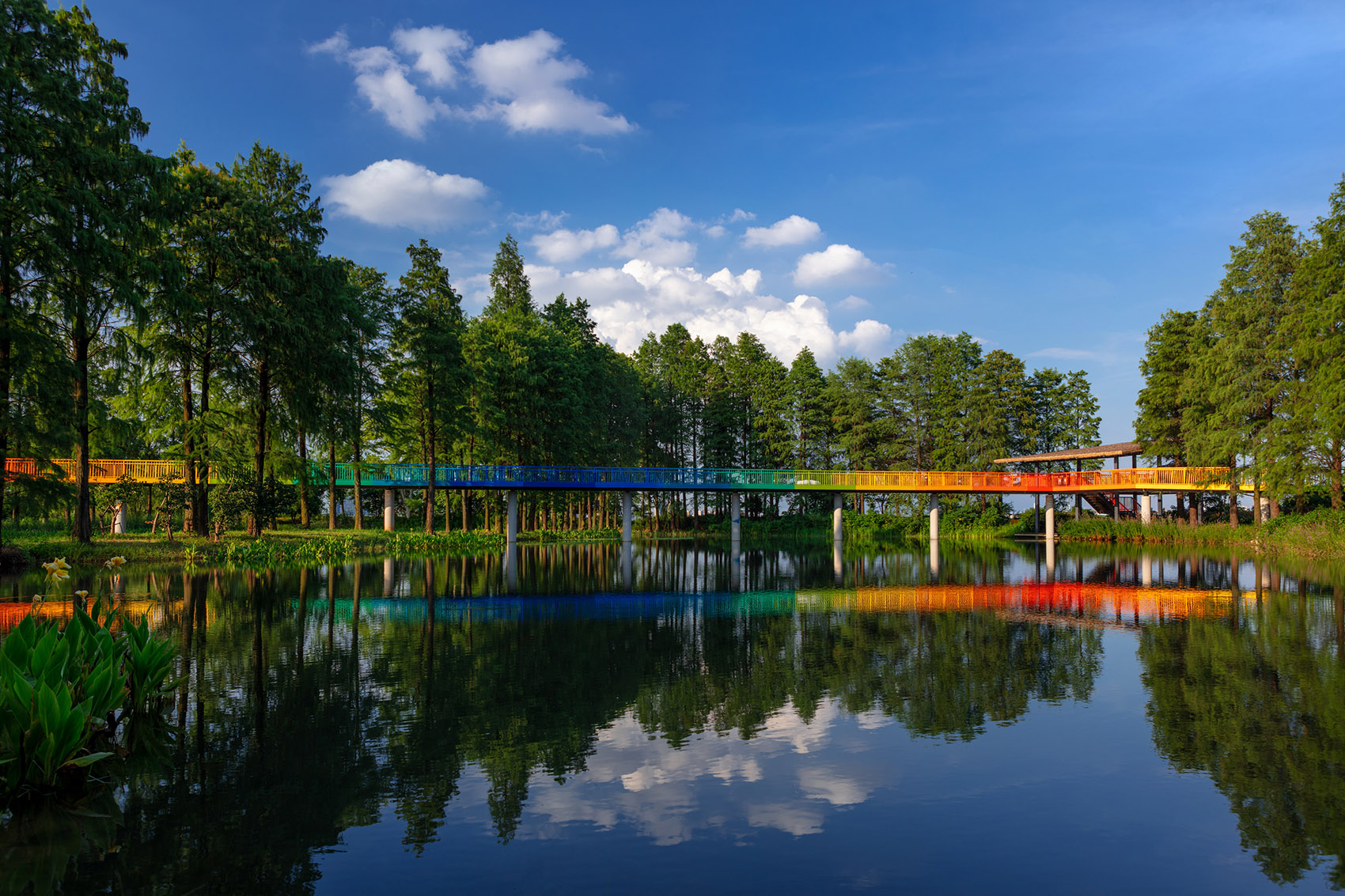 武汉华侨城D3地块南侧湿地公园-6