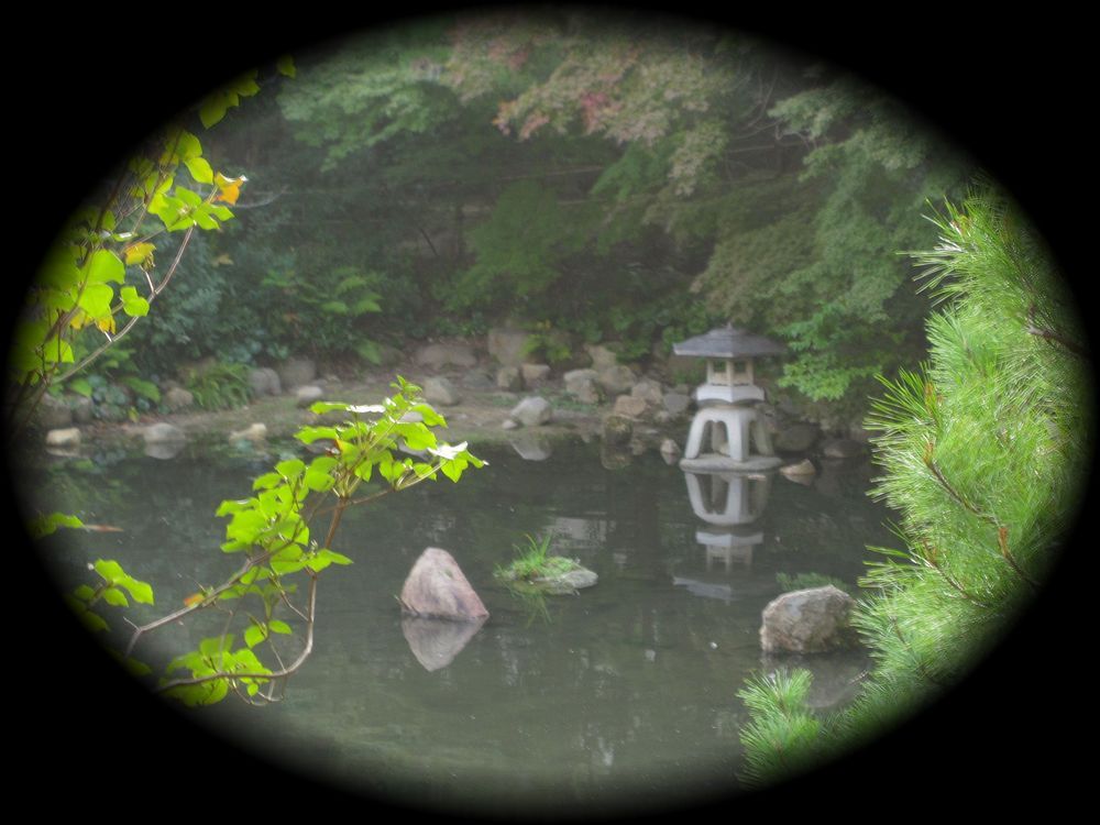 関西学院大学の日本庭園-35