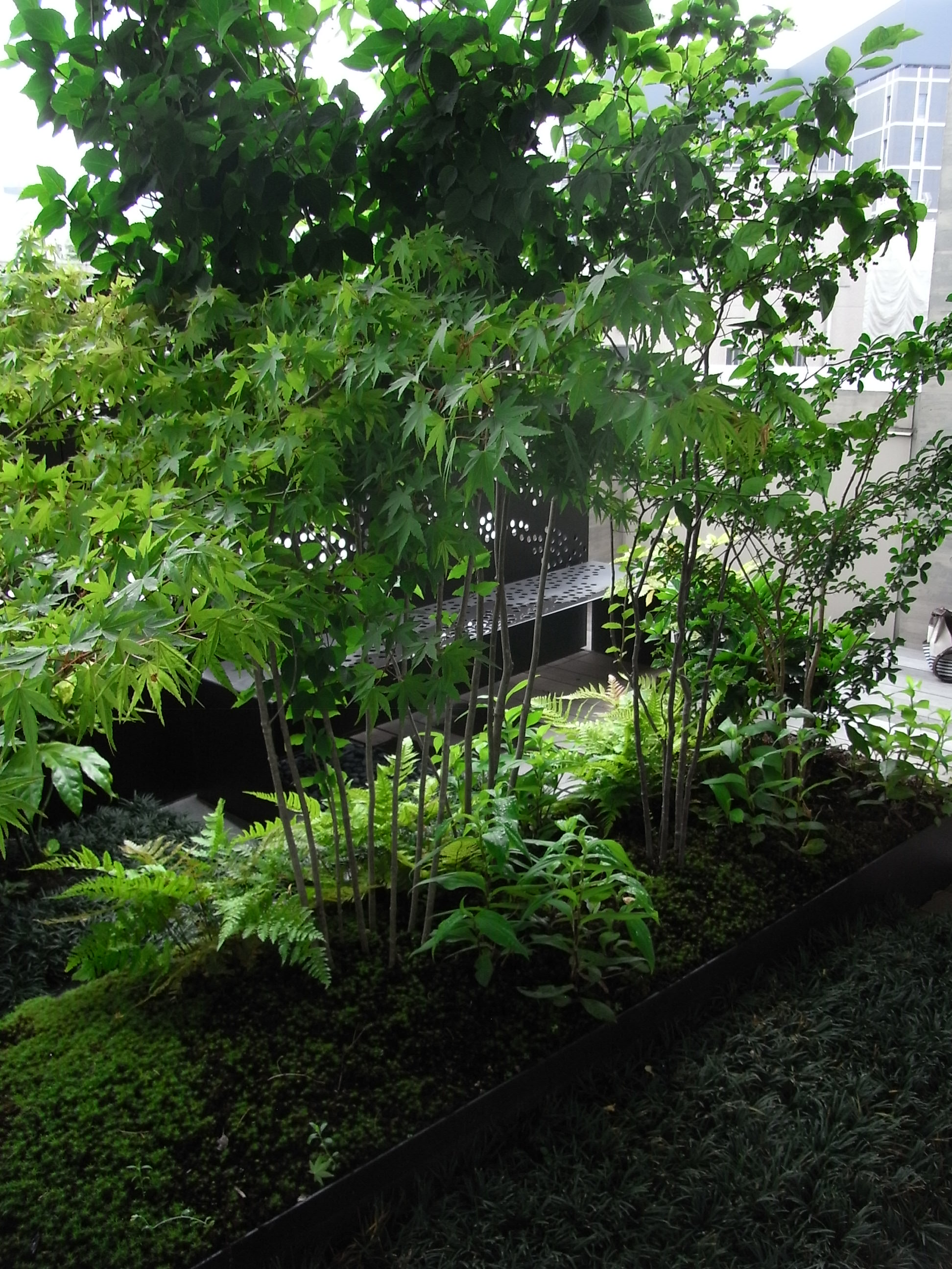 一番町弘和ビル屋上庭園丨松田平田设计-40