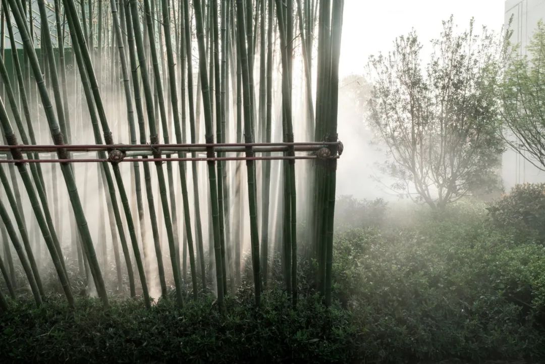  TDG万境景观丨安徽 新城·吾悦华府 景观设计 丨中国安徽-55