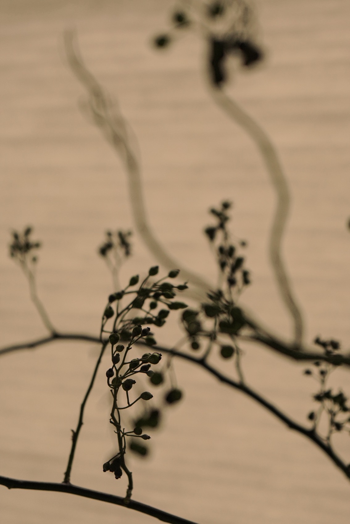 九果子服装店丨中国武汉丨向生设计事务所-55