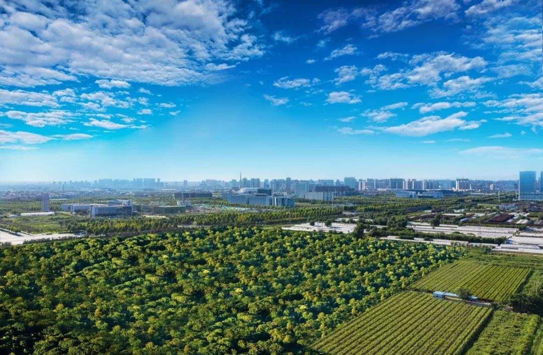 英国友人冒雨打卡海绵城市，意景设计师陪同揭秘海绵城市的“中国答案”-20