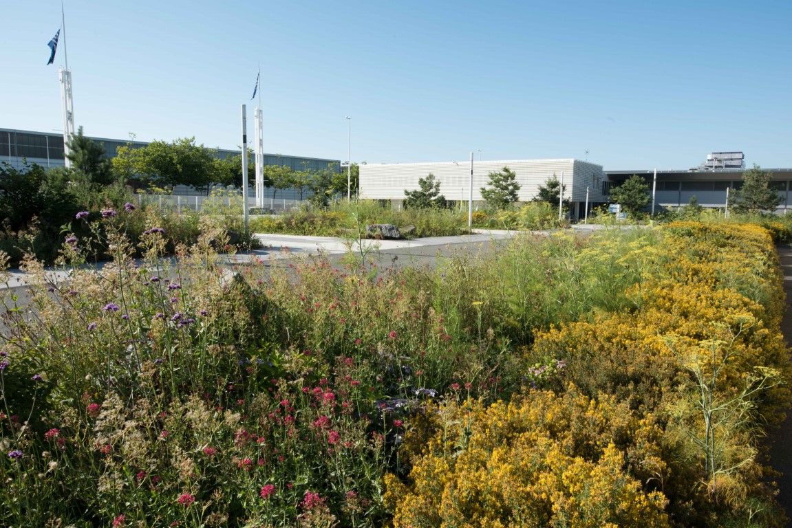 圣布里厄展览公园空地重生丨法国丨praxyspaysage.fr-12