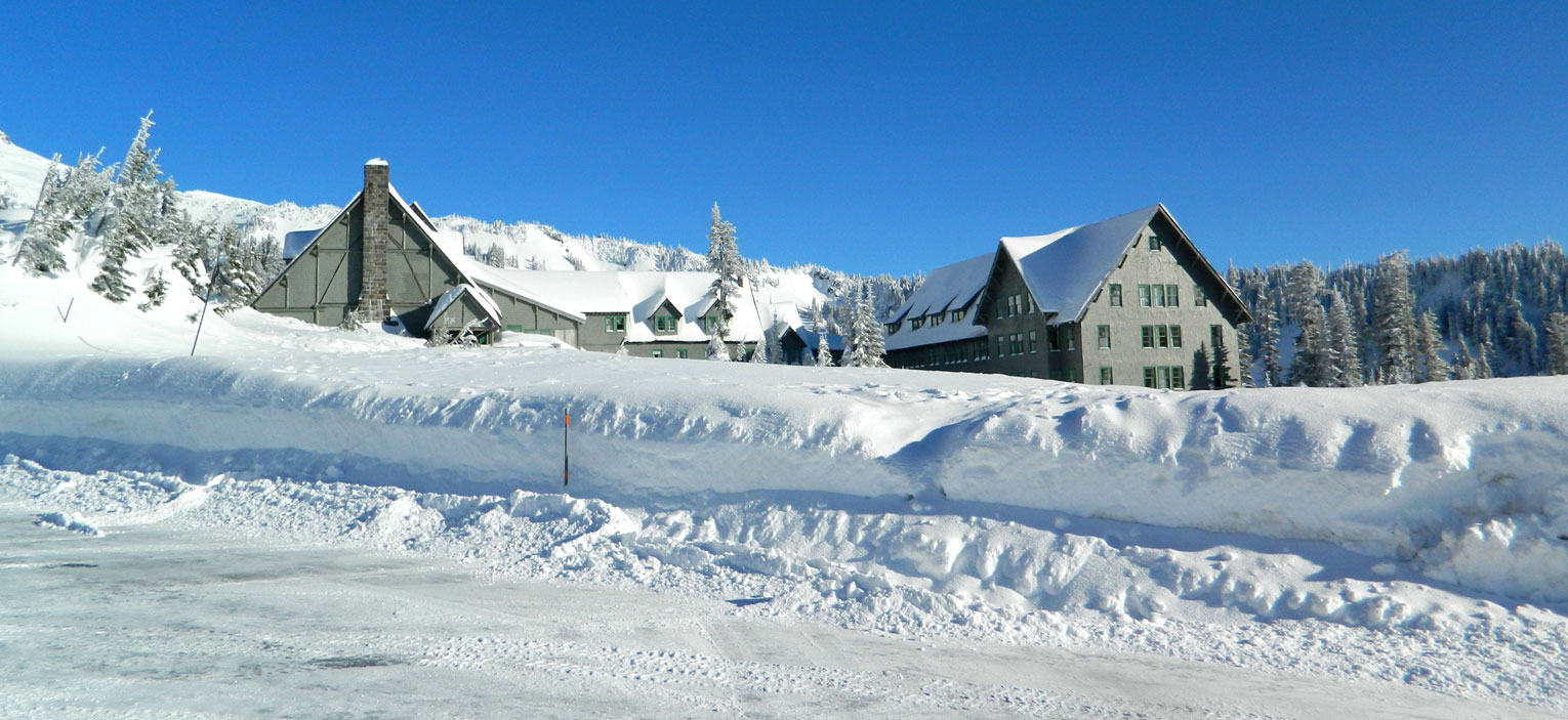 Paradise Inn Rehabilitation-4