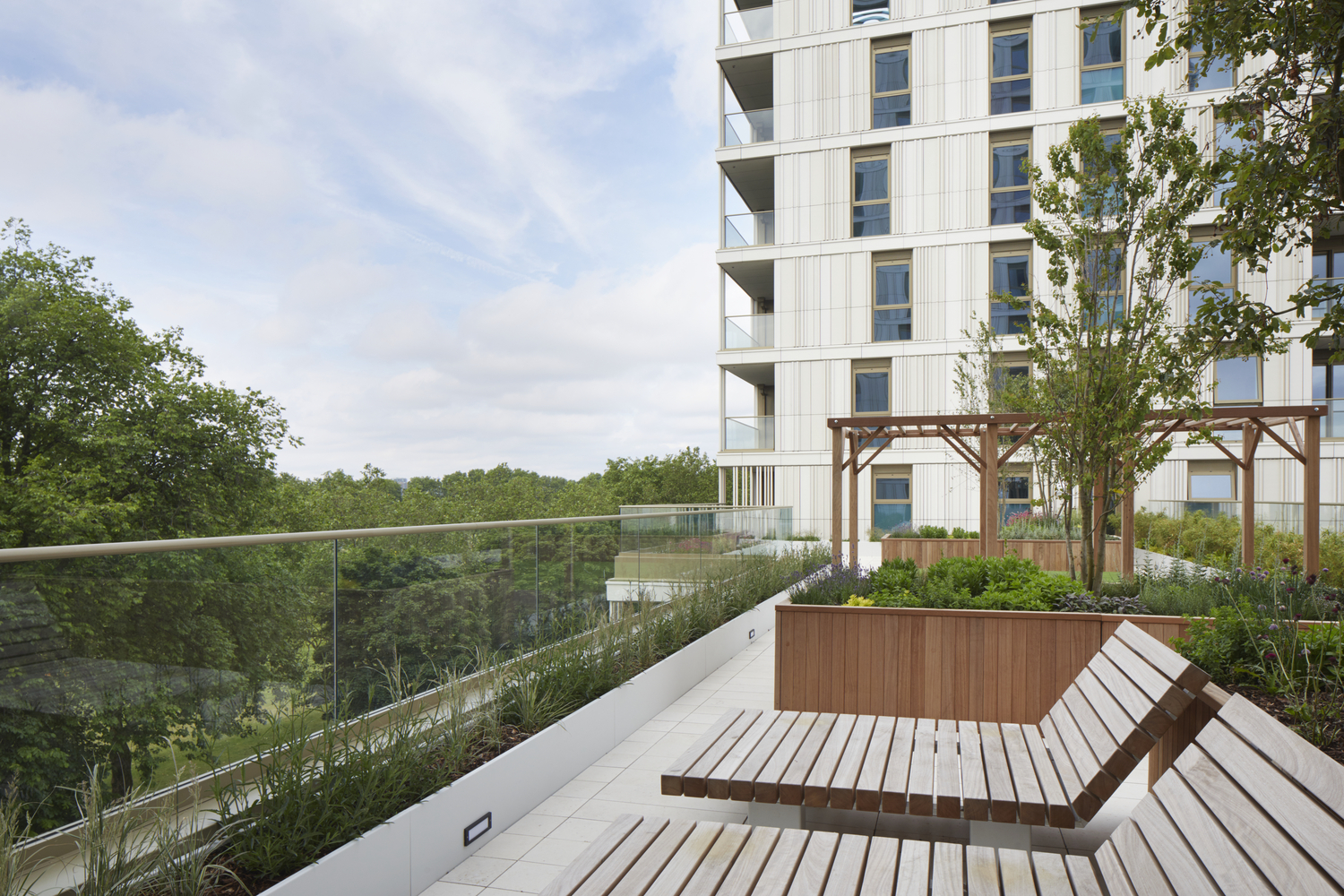 老虎之路(Tiger Way)-26