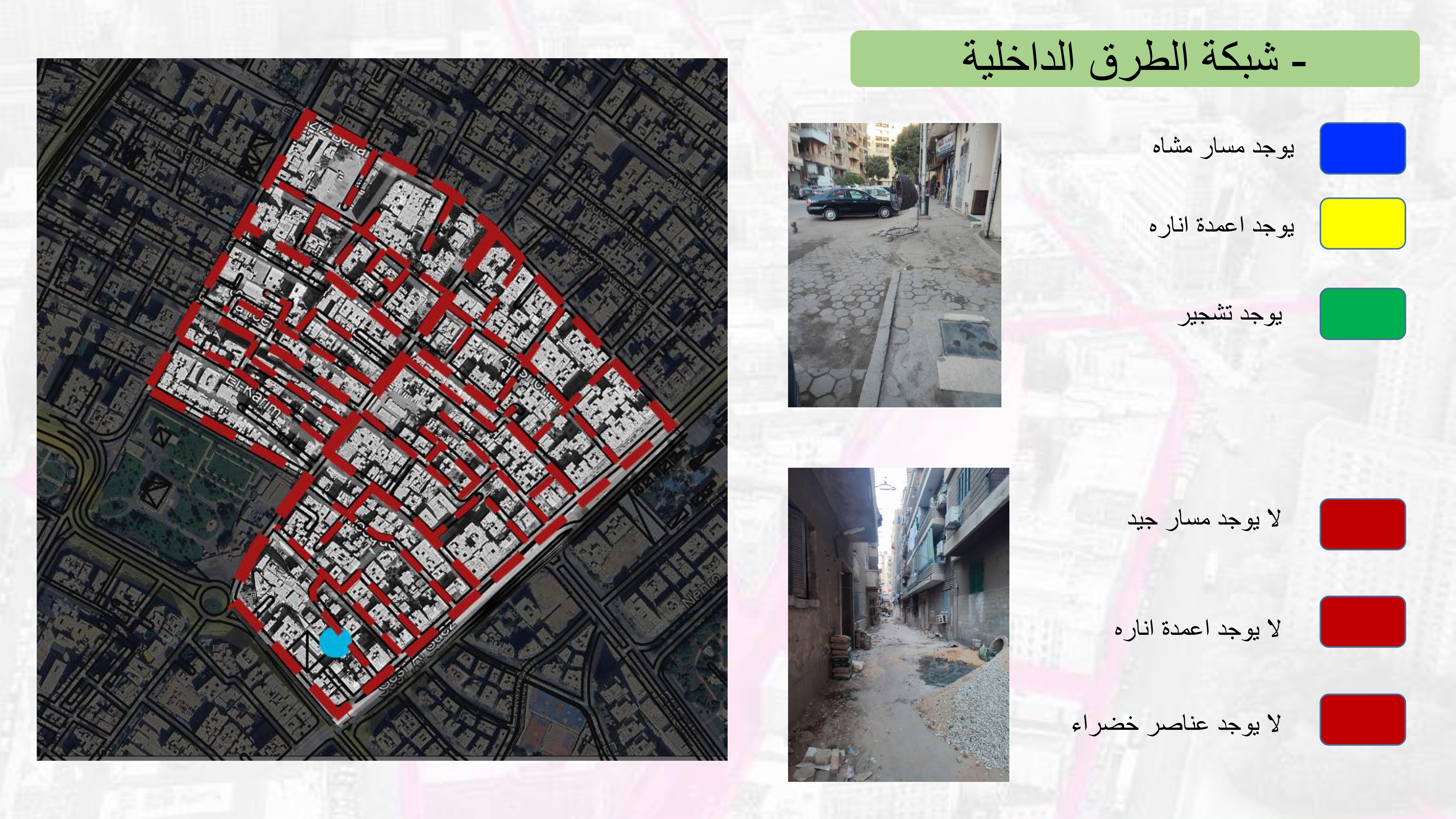 مشروع تحقيق مبادئ التنمية المستدامة بالزيتون القاهرة-15