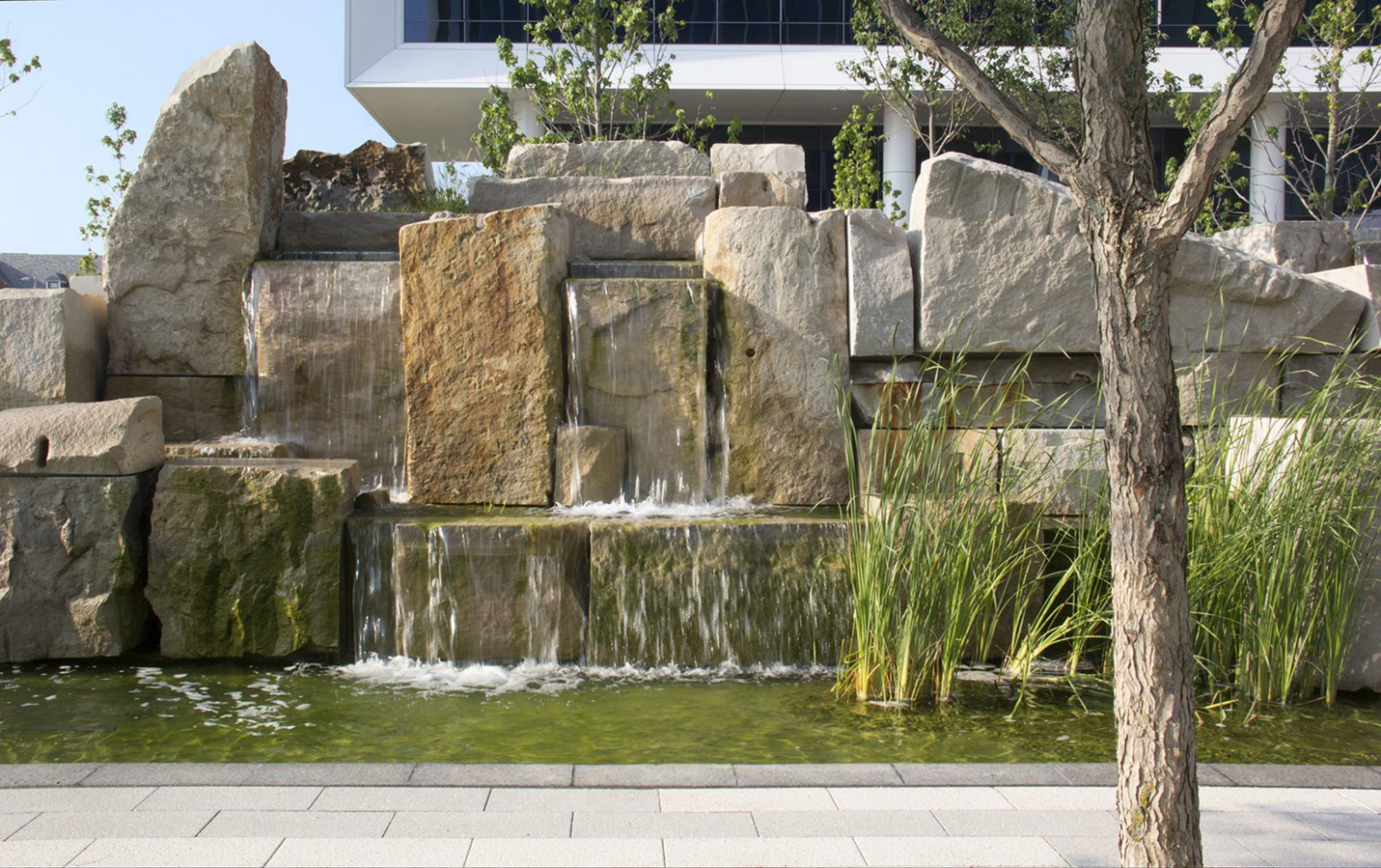 埃斯肯纳齐健康医院的共同基础和天空农场-10