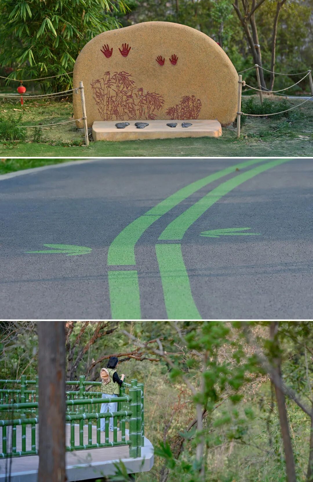 广宁竹海公园|构建绿美竹韵之路-66