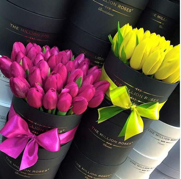 百万玫瑰丨美国洛杉矶丨ANTIQUE Studios-22